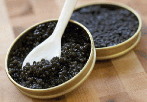 引用 : http://www.caviarexpress.com/Russian-Ossetra-Caviar