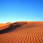 【世界一大きい砂漠】　世界最大の砂漠はサハラ砂漠じゃない！？　【TOP3ランキング】