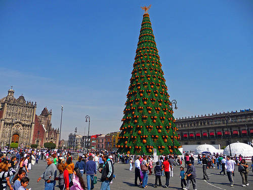 世界一大きい（高い）クリスマスツリー
